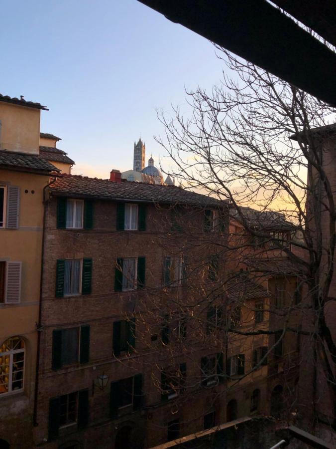 Teresa 91, Appartamento Incantevole Vista Duomo سيينا المظهر الخارجي الصورة